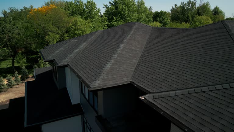 Best Roof Moss and Algae Removal  in Carver, MN