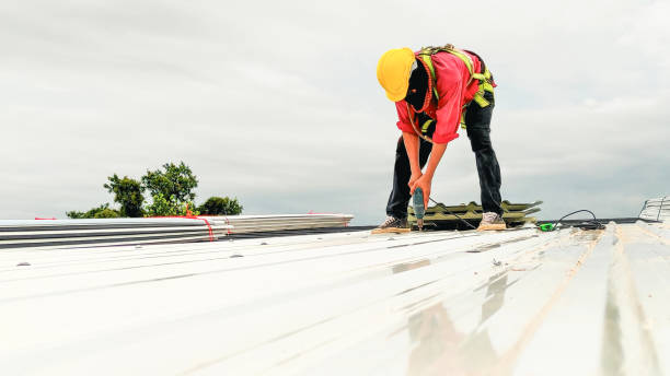 Best Storm Damage Roof Repair  in Carver, MN