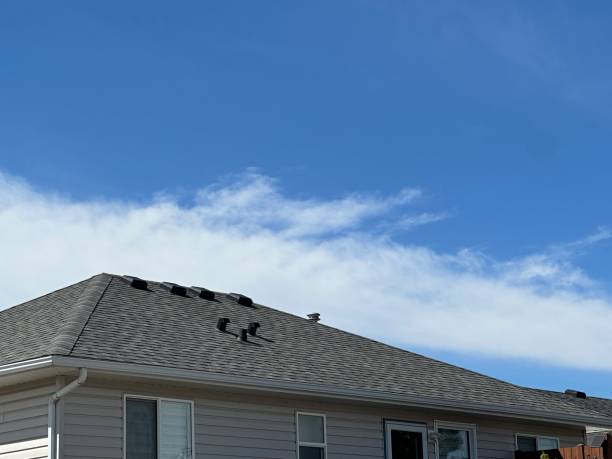 Best Roofing for New Construction  in Carver, MN